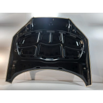 Audi A5 8W6 Motorhaube 13267