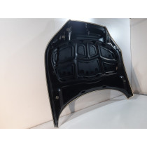 Audi A5 8W6 Motorhaube 13267