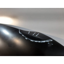 Audi Q5 8R0 LCI Motorhaube – 13351