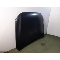 Audi Q5 8R0 LCI Motorhaube – 13351