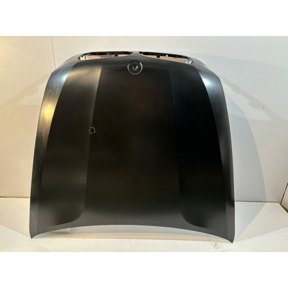 BMW X5 E70 / X6 E71 Motorhaube – 13787