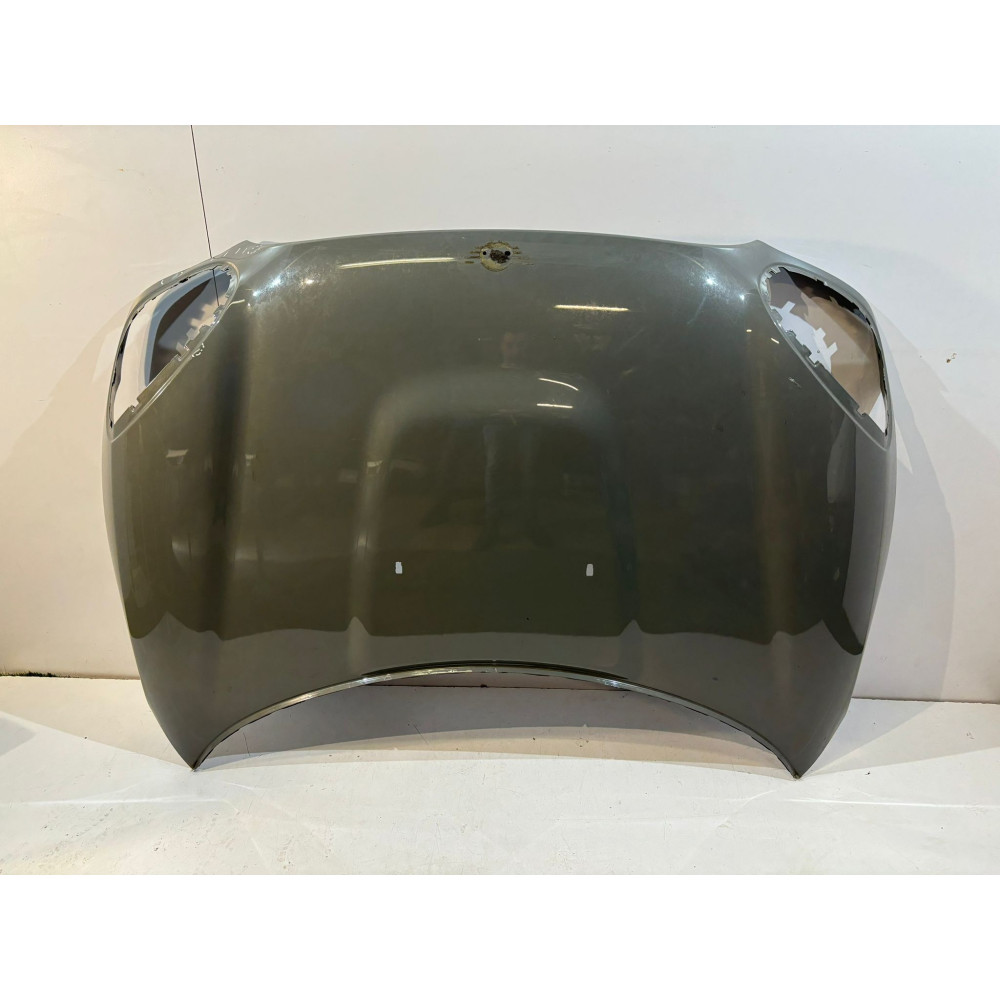 Mini Countryman R60 Motorhaube – 13790