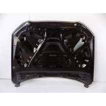 Audi Q5 8R0 LCI Motorhaube – 0457