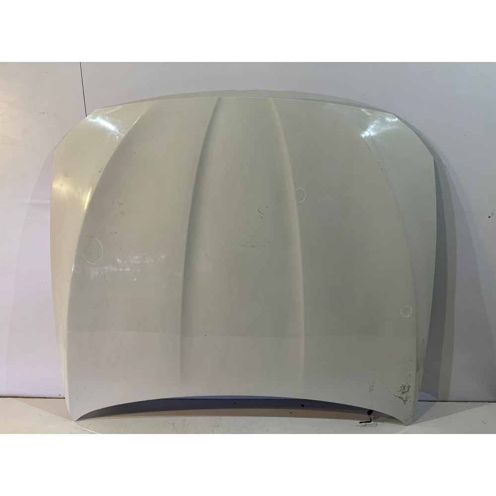 BMW 5er F10 / F11 Motorhaube – 13989