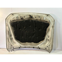 BMW 5er F10 / F11 Motorhaube – 13989
