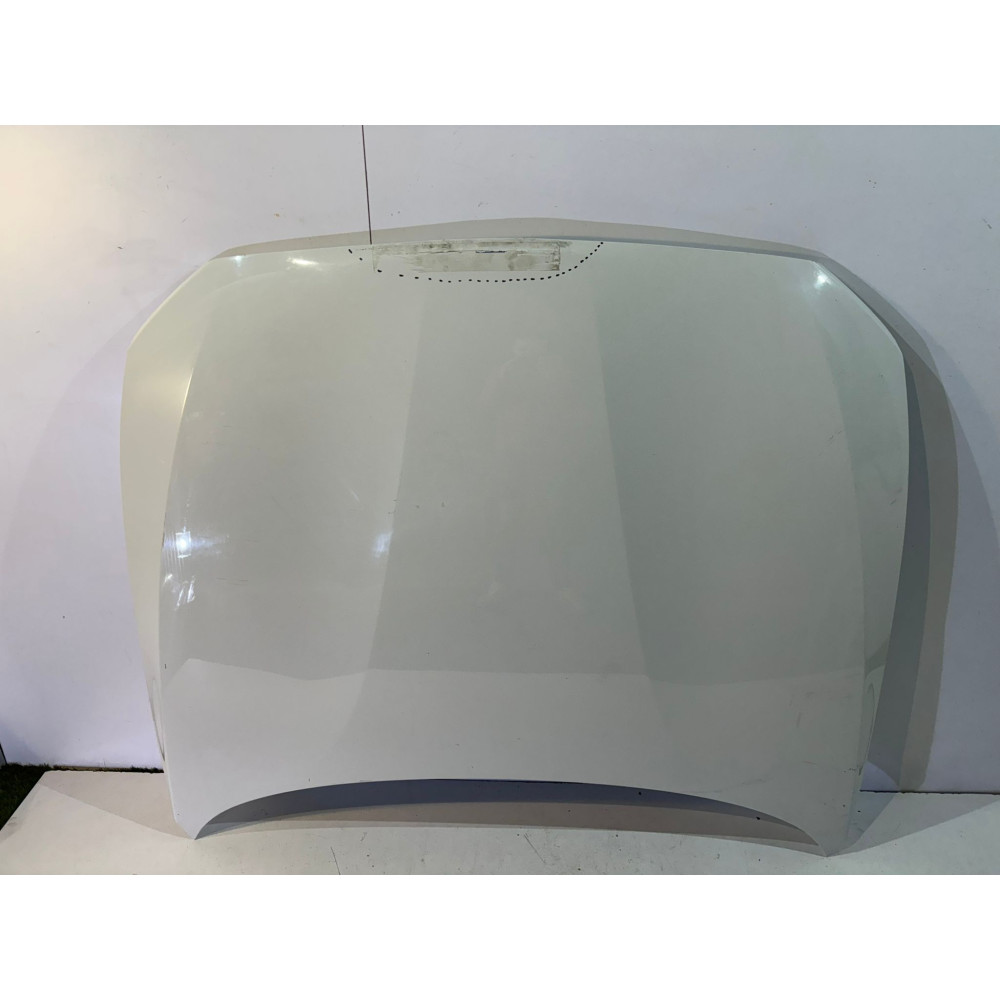 BMW 1 F20 / F21 Motorhaube – 13999