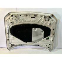 BMW 1 F20 / F21 Motorhaube – 13999
