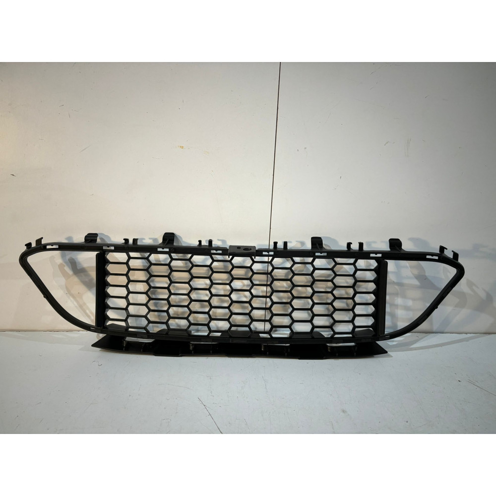 BMW 3er F30 / F31 Stoßfängergitter M-Paket – 14055