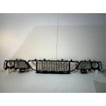 BMW 3er F30 / F31 Stoßfängergitter M-Paket – 14055