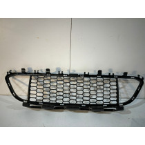 BMW 3er F30 / F31 Stoßfängergitter M-Paket – 14055
