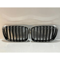 BMW X3 G01 / X4 G02 Kühlergrill / Niere / rechts – 14600