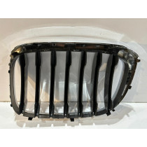 BMW X3 G01 / X4 G02 Kühlergrill / Niere / rechts – 14600