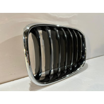 BMW X3 G01 / X4 G02 Kühlergrill / Niere / links – 14601