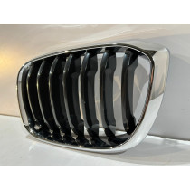 BMW X3 G01 / X4 G02 Kühlergrill / Niere / links – 14601