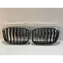 BMW X3 G01 / X4 G02 Kühlergrill / Niere / Rechts - 14602