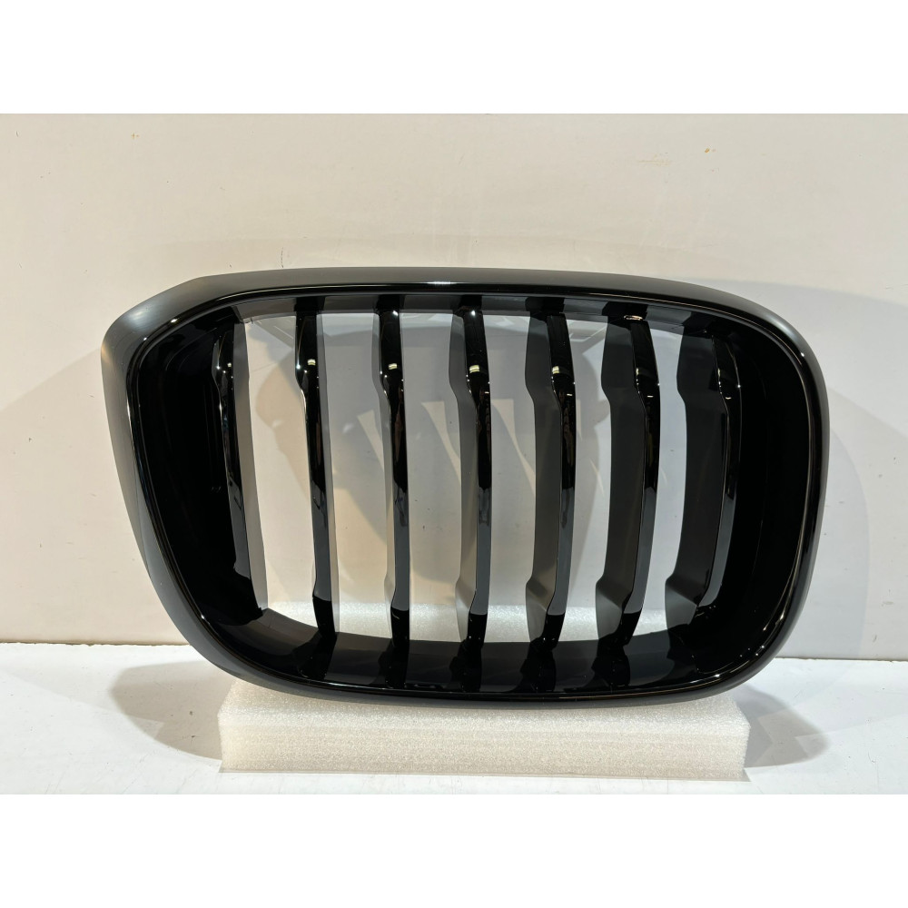 BMW X3 G01 / X4 G02 Kühlergrill / Niere / Rechts - 14620
