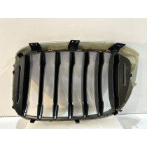 BMW X3 G01 / X4 G02 Kühlergrill / Niere / Rechts - 14620