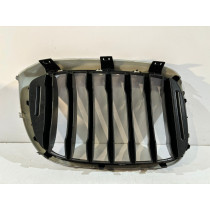 BMW X3 G01 / X4 G02 Kühlergrill / Niere / links – 14951