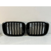 BMW X3 G01 / X4 G02 Kühlergrill / Niere / links – 14951