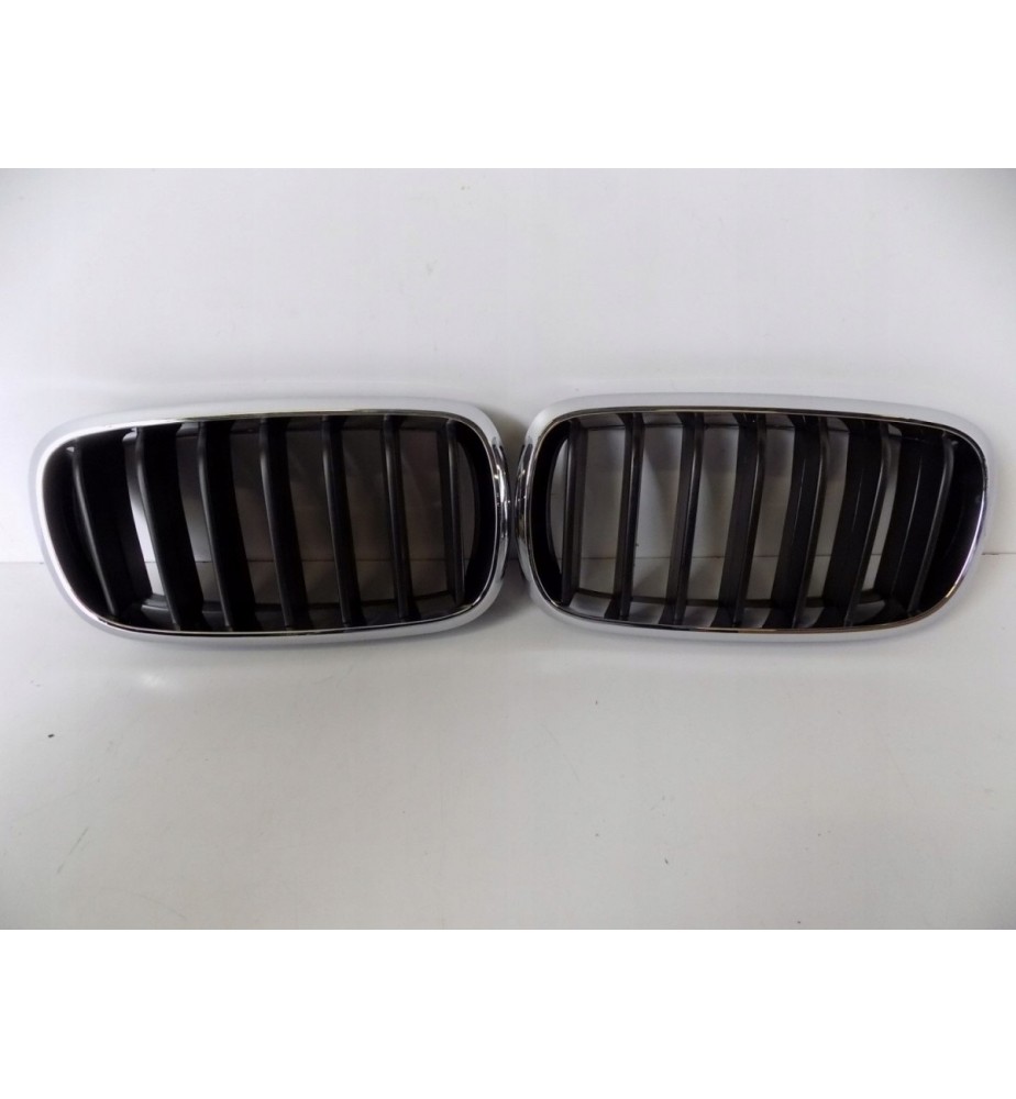 BMW X5 F15 Nieren /...