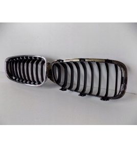 BMW 3er GT F34 Nieren / Stoßfängergrill – 3819