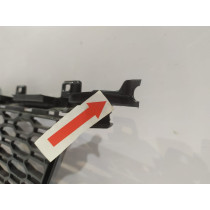 BMW 3er G20 / G21 M-Paket Mittelgitter – 15757