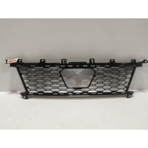 BMW 3er G20 / G21 M-Paket Mittelgitter – 15757