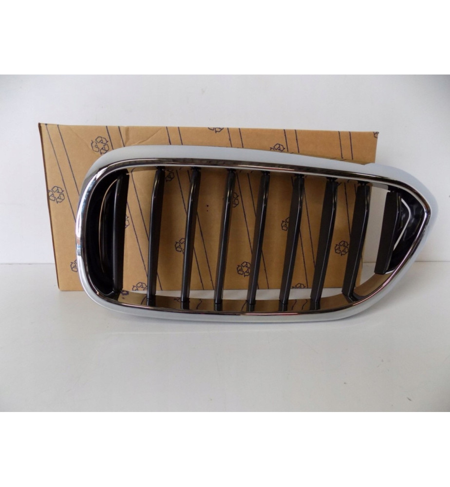 BMW 5er G30/G31 Niere /...