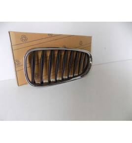 BMW Z4 E85/E86 Kühlergrill / Niere links – 3865