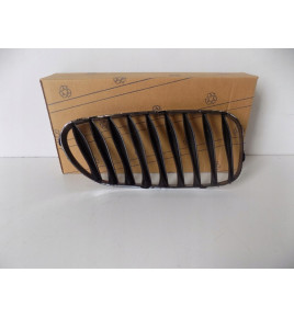 BMW Z4 E85/E86 Kühlergrill / Niere links – 3865