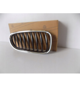BMW Z4 E85/E86 Kühlergrill/Niere rechts – 3866