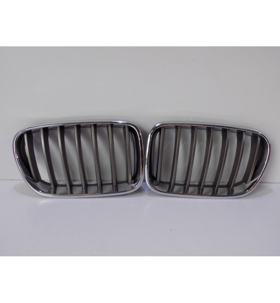 BMW X3 F25 Set aus Nieren...