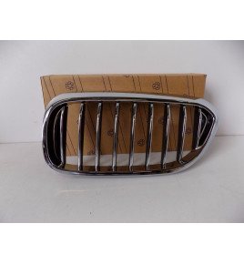 BMW G30/G31 Niere /...