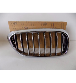 BMW 5er G30/G31 Niere /...