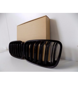 BMW X5 E70, BMW X6 E71 Kühlergrill / Niere – 4119