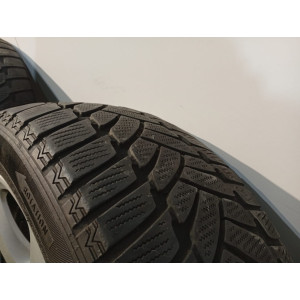 BMW 5er E60 Winterräder 5x120, 17 Zoll, Styling 243 – 1024