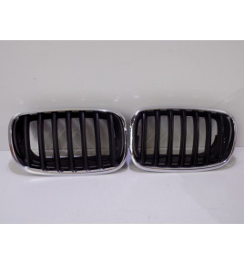BMW X5 E70 Niere /...