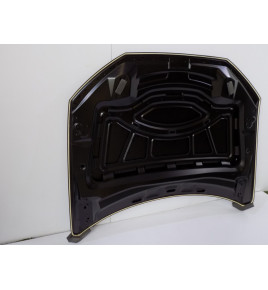 Audi Q7 4M 2015–  Motorhaube – 4239