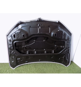 BMW X1 F48 Motorhaube – 4363