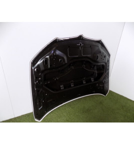 BMW X1 F48 Motorhaube – 4363