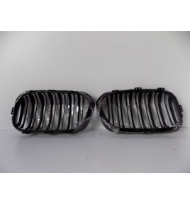 BMW F20/21 LCI Nieren-Set \ M-Power – 4374