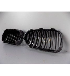 BMW F20/21 LCI Nieren-Set \ M-Power – 4374