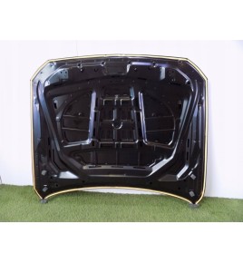 BMW 5er F10 / F11 Motorhaube – 3005