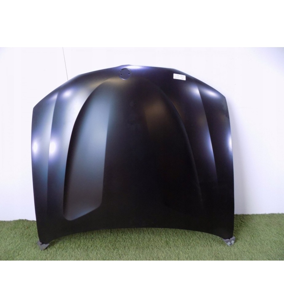BMW X3 F25 / X4 F26 Motorhaube – 3006