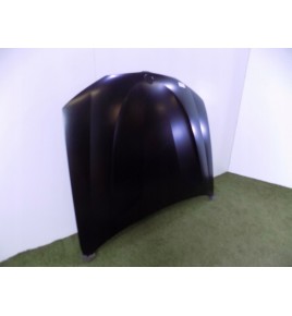 BMW X3 F25 / X4 F26 Motorhaube – 3006