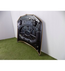 BMW X3 F25 / X4 F26 Motorhaube – 3006