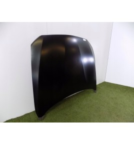 BMW 1er F20 / 2er F22 Motorhaube – 3007