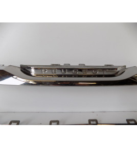 Peugeot 308 T9 Kühlergrillrahmen – 10414
