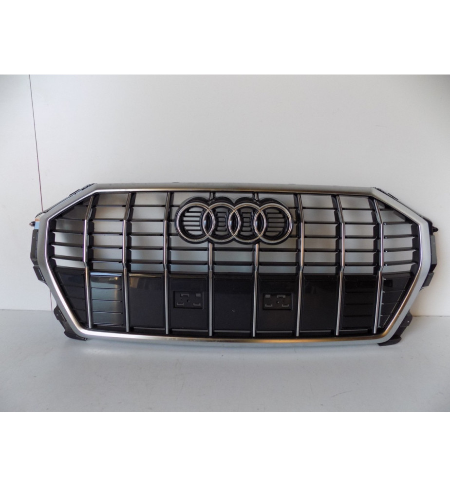 Audi Q3 A83 S-Line Grill /...