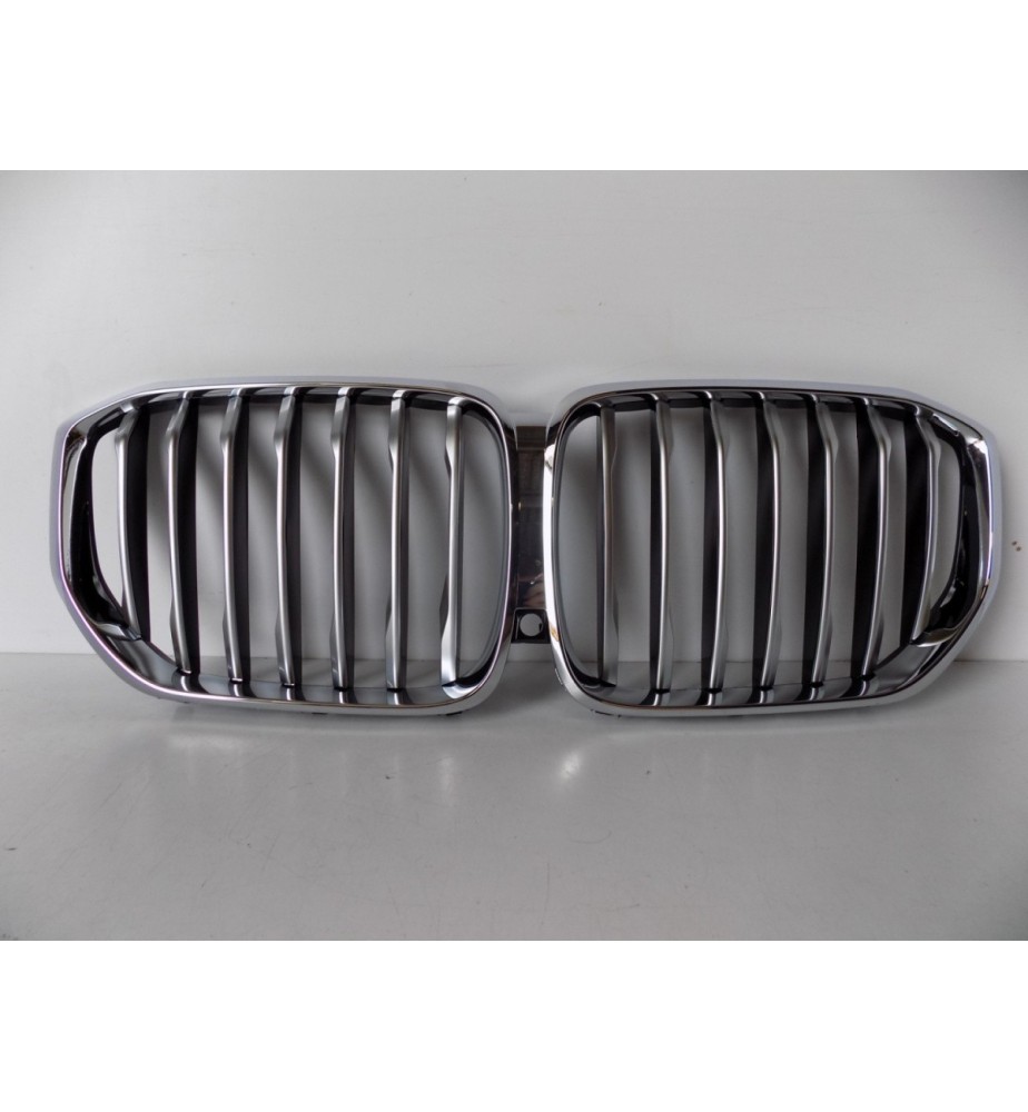 BMW X5 G05 Nieren /...